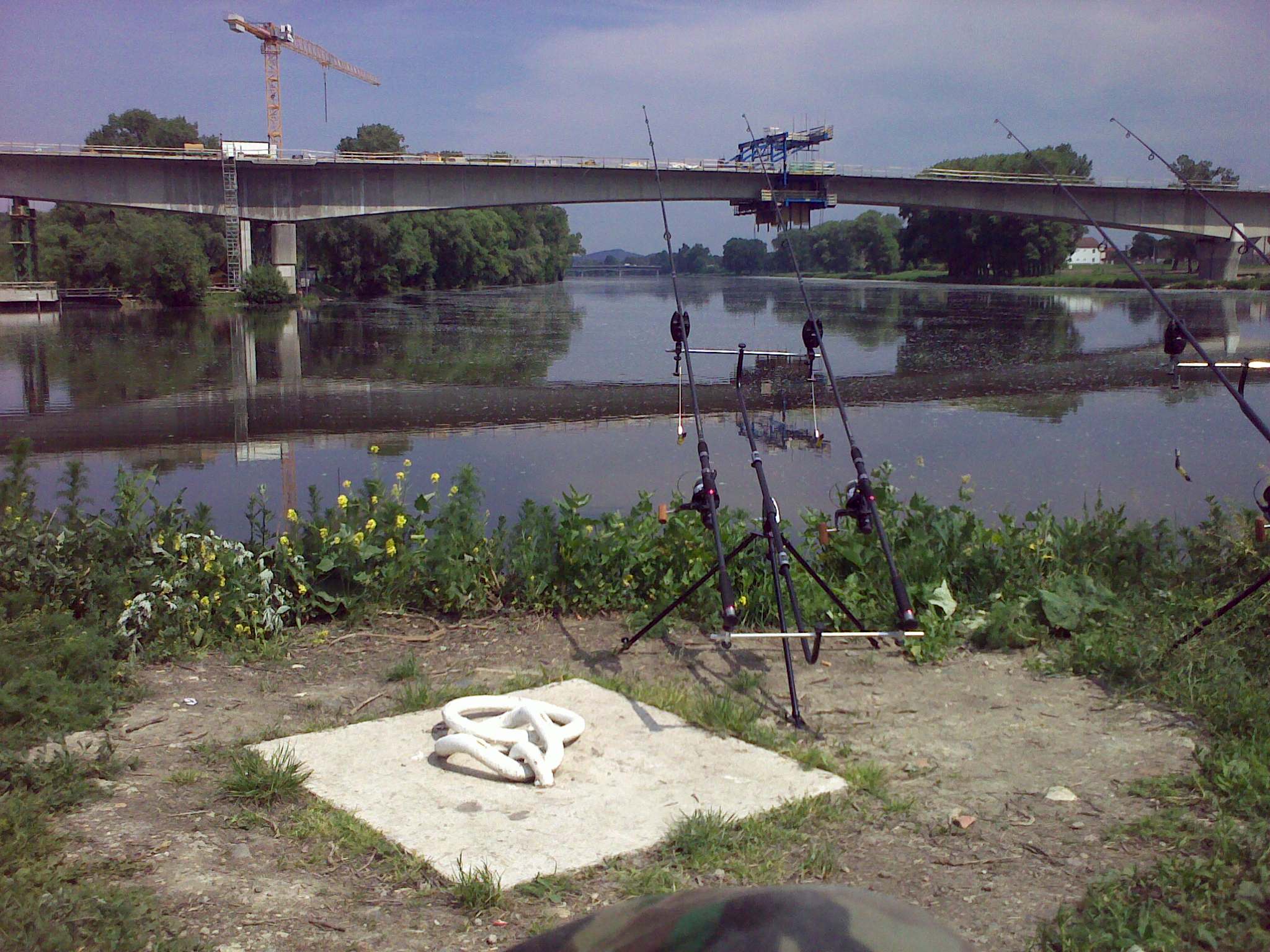 20052009350